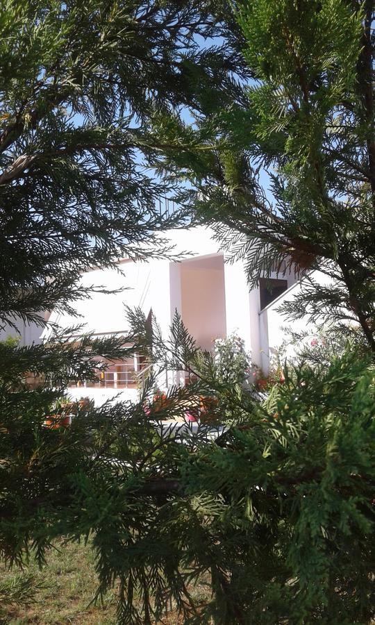 Toris House *
